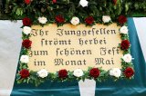 erffnungsball2016-003