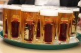 Maifestsonntag_2017